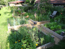 Zum Bild: Ob Gemüsegarten oder formaler Garten - beim „Tag der offenen Gartentür“ können sich Besucher über die vielfältigen Möglichkeiten der Gartengestaltung informieren. Bis 24. Oktober kann man sich für die Teilnahme bewerben.	Foto: Markus Orf/Landratsamt Unterallgäu 


