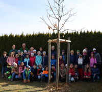 Die Dritt- und Viertklässler der Grundschule Kammlach haben sich hinter dem neu gepflanzten Baum zum Foto aufgestellt. 