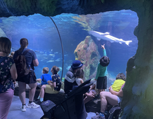 Pflegefamilien beim Ausflug ins Sea Life nach München. Foto: Landratsamt Unterallgäu


