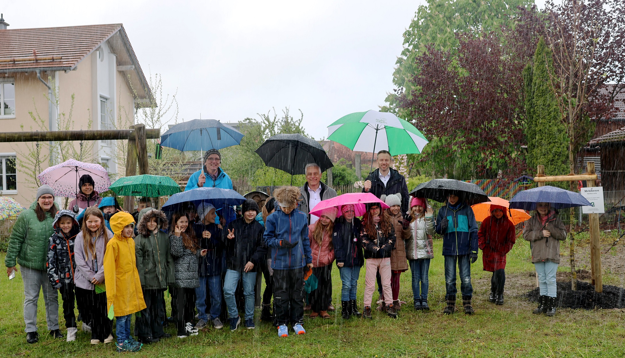 Der Startschuss für die Aktion „Mehr Bäume für den Klimaschutz“ fiel im Frühjahr mit der Pflanzung einer Mehlbeere in Buxheim. 43 Gemeinden folgten dem Aufruf des Landratsamts und pflanzten anschließend ebenfalls Bäume.
Foto: Eva Büchele/Landratsamt Unterallgäu 
